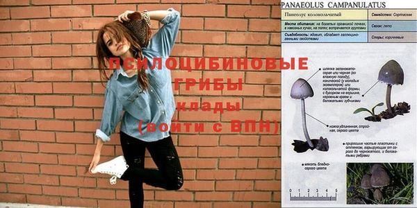 гашик Армянск