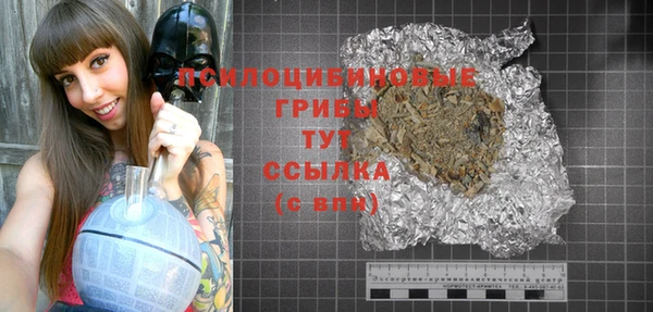 ГАЛЛЮЦИНОГЕННЫЕ ГРИБЫ Арсеньев