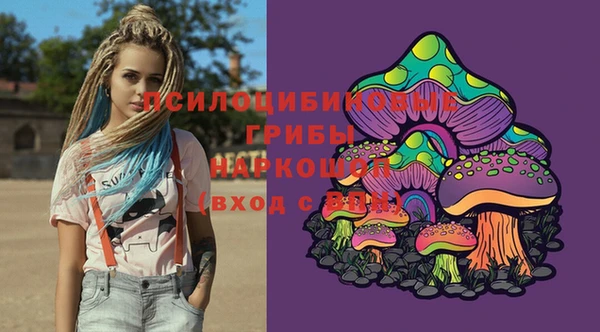 гашик Армянск