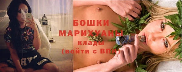 ГАЛЛЮЦИНОГЕННЫЕ ГРИБЫ Арсеньев